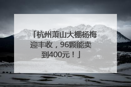 杭州萧山大棚杨梅迎丰收，96颗能卖到400元！