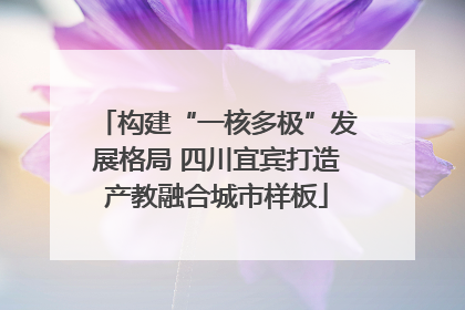 构建“一核多极”发展格局 四川宜宾打造产教融合城市样板