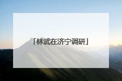 林武在济宁调研