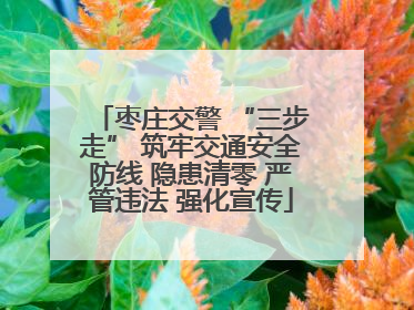 枣庄交警 “三步走” 筑牢交通安全防线 隐患清零 严管违法 强化宣传