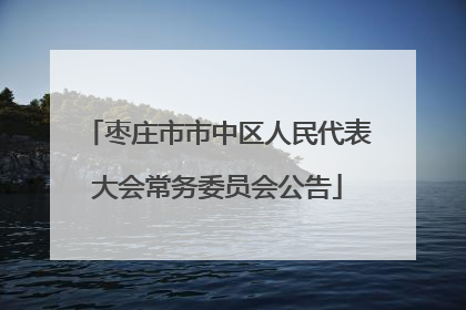 枣庄市市中区人民代表大会常务委员会公告