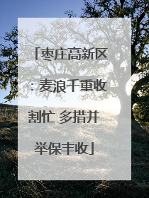 枣庄高新区：麦浪千重收割忙 多措并举保丰收