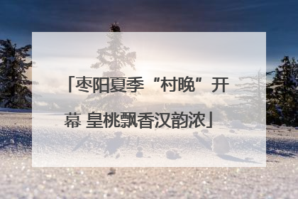 枣阳夏季“村晚”开幕 皇桃飘香汉韵浓