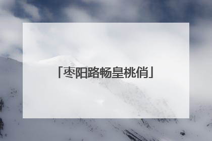 枣阳路畅皇桃俏