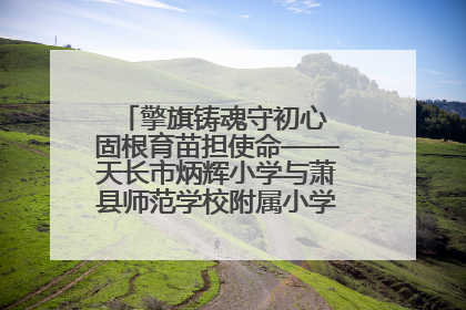 擎旗铸魂守初心 固根育苗担使命——天长市炳辉小学与萧县师范学校附属小学结对共建活动纪实