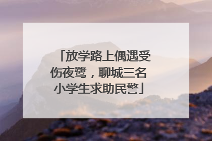 放学路上偶遇受伤夜鹭，聊城三名小学生求助民警