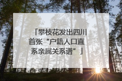 攀枝花发出四川首张“户籍人口直系亲属关系谱”