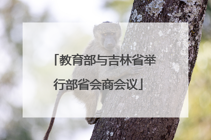 教育部与吉林省举行部省会商会议