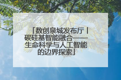 数创泉城发布厅丨碳硅基智能融合——生命科学与人工智能的边界探索