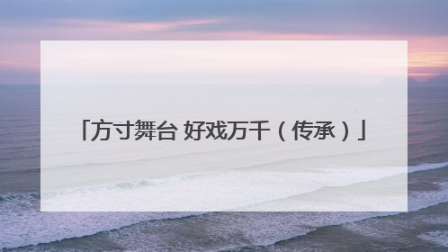 方寸舞台 好戏万千（传承）