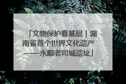 文物保护看基层｜湖南省首个世界文化遗产——永顺老司城遗址