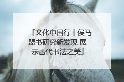 文化中国行丨侯马盟书研究新发现 展示古代书法之美
