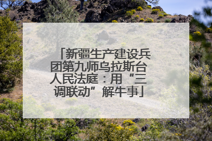 新疆生产建设兵团第九师乌拉斯台人民法庭：用“三调联动”解牛事