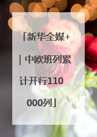 新华全媒+｜中欧班列累计开行110000列
