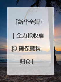 新华全媒+｜全力抢收夏粮 确保颗粒归仓