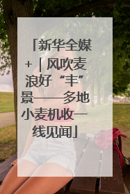 新华全媒+｜风吹麦浪好“丰”景——多地小麦机收一线见闻