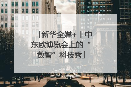 新华全媒+丨中东欧博览会上的“数智”科技秀