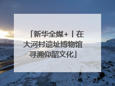 新华全媒+丨在大河村遗址博物馆寻溯仰韶文化