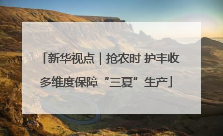 新华视点｜抢农时 护丰收 多维度保障“三夏”生产