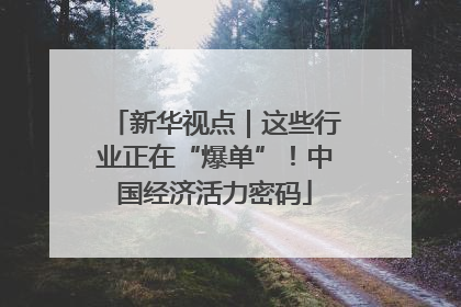 新华视点｜这些行业正在“爆单”！中国经济活力密码
