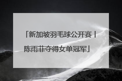 新加坡羽毛球公开赛丨陈雨菲夺得女单冠军