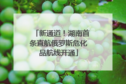 新通道！湖南首条直航俄罗斯危化品航线开通