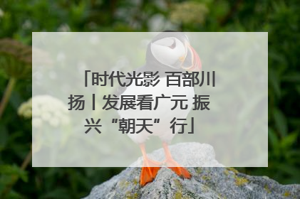 时代光影 百部川扬丨发展看广元 振兴“朝天”行