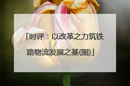 时评：以改革之力筑铁路物流发展之基(图)