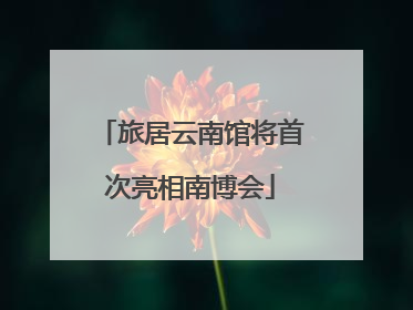 旅居云南馆将首次亮相南博会