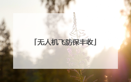 无人机飞防保丰收