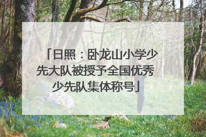 日照：卧龙山小学少先大队被授予全国优秀少先队集体称号