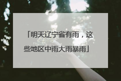 明天辽宁省有雨，这些地区中雨大雨暴雨