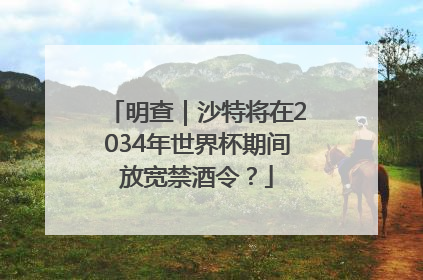 明查｜沙特将在2034年世界杯期间放宽禁酒令？