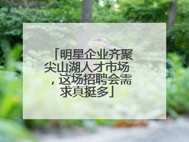 明星企业齐聚尖山湖人才市场，这场招聘会需求真挺多