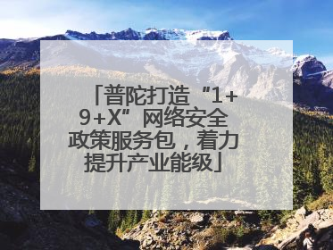 普陀打造“1+9+X”网络安全政策服务包，着力提升产业能级