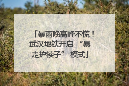 暴雨晚高峰不慌！武汉地铁开启 “暴走护犊子” 模式