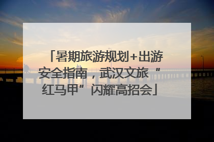 暑期旅游规划+出游安全指南，武汉文旅“红马甲”闪耀高招会