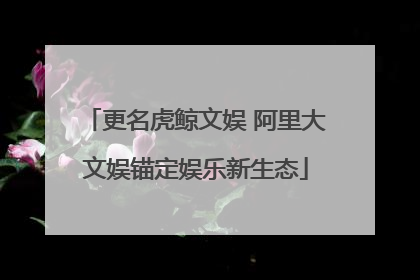 更名虎鲸文娱 阿里大文娱锚定娱乐新生态