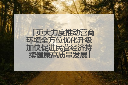 更大力度推动营商环境全方位优化升级加快促进民营经济持续健康高质量发展