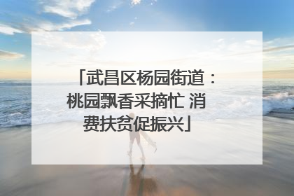 武昌区杨园街道：桃园飘香采摘忙 消费扶贫促振兴