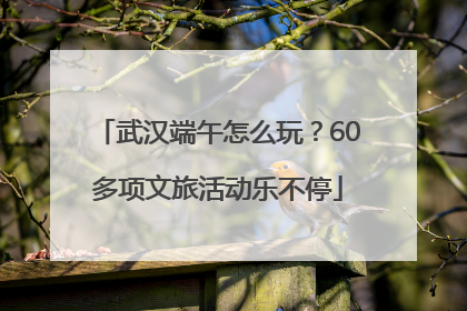 武汉端午怎么玩？60多项文旅活动乐不停