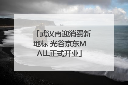 武汉再迎消费新地标 光谷京东MALL正式开业