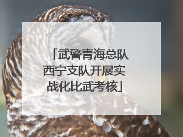 武警青海总队西宁支队开展实战化比武考核