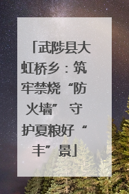 武陟县大虹桥乡：筑牢禁烧“防火墙” 守护夏粮好“丰”景