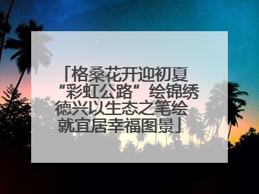 格桑花开迎初夏 “彩虹公路”绘锦绣 德兴以生态之笔绘就宜居幸福图景