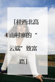 桂西北高山村寨的“云端”致富路