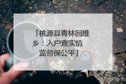 桃源县青林回维乡：入户查实情 监督保公平