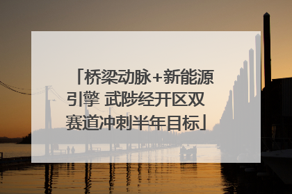 桥梁动脉+新能源引擎 武陟经开区双赛道冲刺半年目标