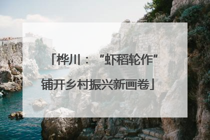 桦川：“虾稻轮作”铺开乡村振兴新画卷