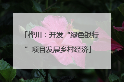 桦川：开发“绿色银行”项目发展乡村经济